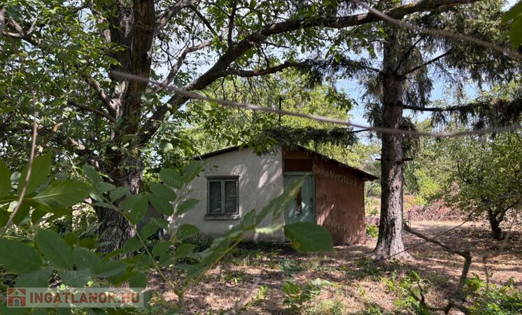 ELADÓ 1216 M²-ES TELEK CEGLÉD-ÖREGSZŐLŐBEN