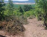 Eladó héregi zártkerti telek természetbarátoknak és nyugalomra vágyóknak