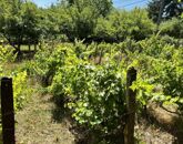 Eladó telek/földterület Miskolc 13 900 000 Ft