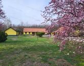 Eladó Tökéletes Tanya Nagykőrősön.