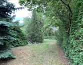 Eladó telek/földterület Solymár 69 900 000 Ft