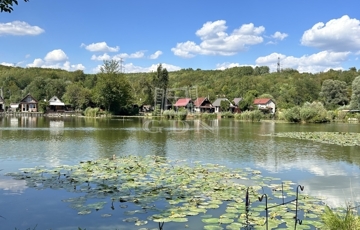Eladó családi ház