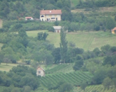 Eladó telek/földterület Köveskál 37 900 000 Ft