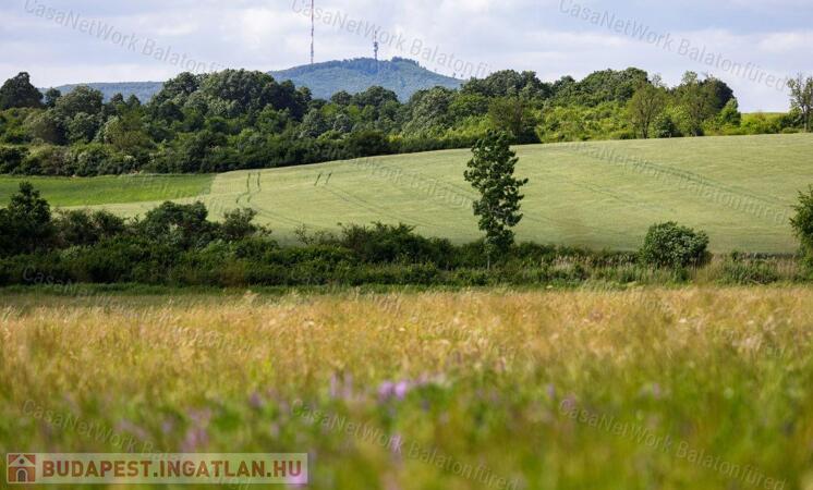 Lovaglás és a természet szerelmeseinek                                 