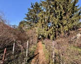 Eladó telek/földterület Diósd 149 900 000 Ft