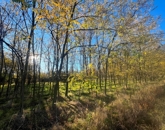 Eladó telek/földterület Győrság 6 300 000 Ft