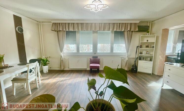 Zagyvapart közeli felújított 2 szobás lakás eladó!                                 