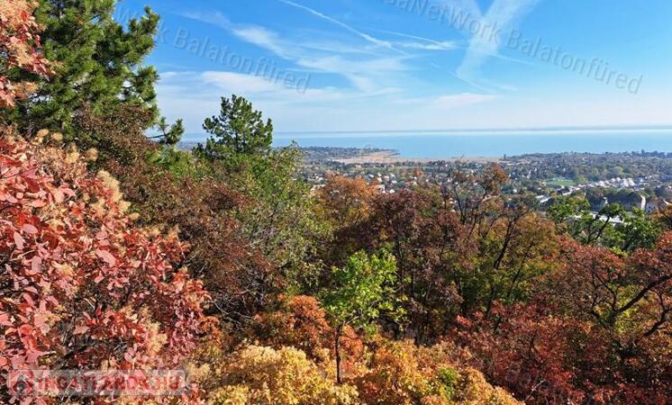 Erdőben, panorámás- eladó MEZŐGAZDASÁGI TERÜLET BALATONFÜREDEN