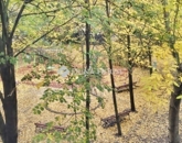 Eladó lakás Budapest IV. ker 92 900 000 Ft