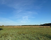 Eladó telek/földterület Tököl 4 800 000 Ft