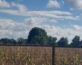 Eladó telek/földterület Hajdúhadház 252 000 000 Ft