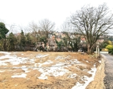 Eladó telek/földterület Üröm 83 900 000 Ft