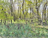 Eladó telek/földterület Farmos 9 900 000 Ft