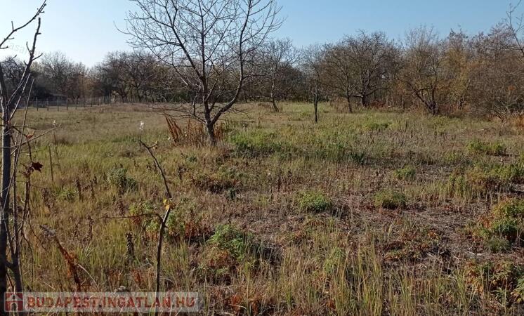 Fejlődő városrész, sokoldalú telek – ragadja meg az alkalmat!                                 