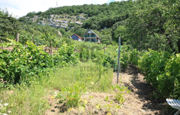 Eladó telek/földterület