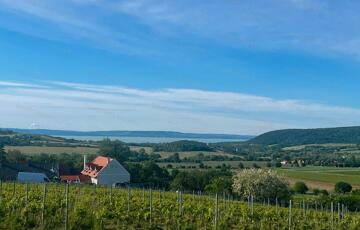 Eladó telek/földterület