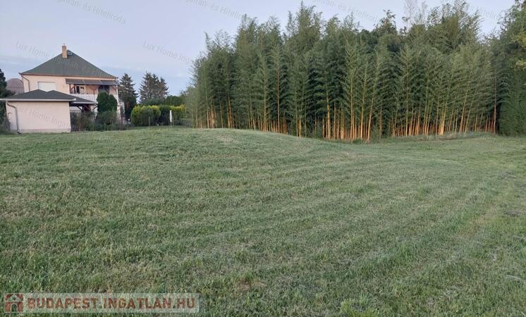 Eladó 1749 m2-es építési telek Kecskéd belterületén                                 