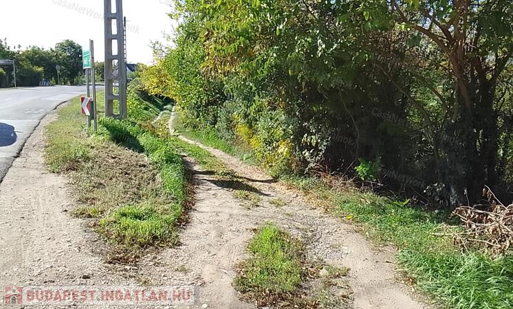 Tiszaföldváron építési telek eladó.                                 