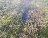 Eladó telek/földterület Hernád 10 900 000 Ft