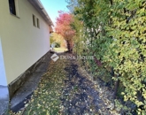 Eladó üdülő/nyaraló Békésszentandrás 56 000 000 Ft