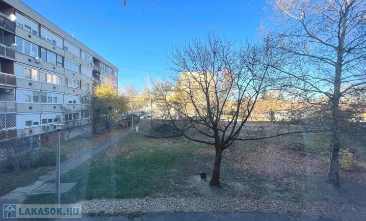 Napfényes, tágas lakás                                 