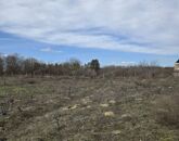 Eladó telek/földterület Dabas 16 000 000 Ft