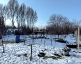 Eladó telek/földterület Újszentiván 15 500 000 Ft