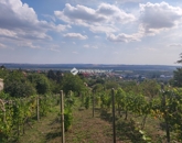 Eladó telek/földterület Pécs 6 500 000 Ft