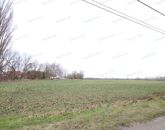 Eladó telek/földterület Lébény 100 000 000 Ft