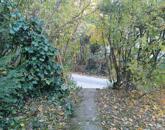 Eladó telek/földterület Solymár 69 900 000 Ft