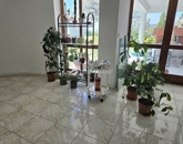 Eladó családi ház Pécs 195 000 000 Ft