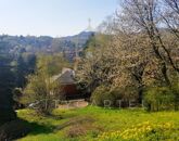 Eladó telek/földterület Csobánka 41 900 000 Ft