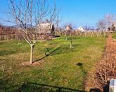 Építhető, jó lokáció - eladó MEZŐGAZDASÁGI TERÜLET BALATONFÜREDEN