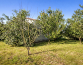 Eladó ipari ingatlan Székesfehérvár 150 000 000 Ft