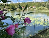 Eladó családi ház Pécel 27 500 000 Ft