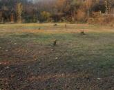 Eladó telek/földterület Érd 19 900 000 Ft