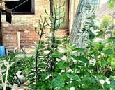 Eladó családi ház Kiskunlacháza 73 900 000 Ft