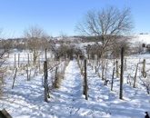 Eladó telek/földterület Ságvár 7 500 000 Ft