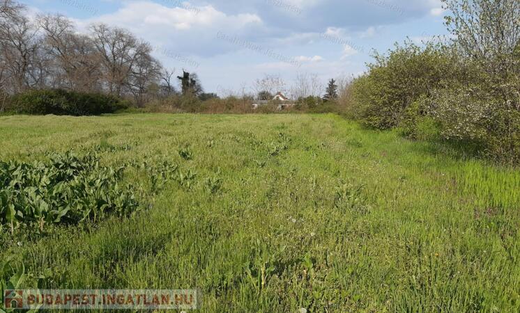 Jásztelken, egy csendes utcában 2816 nm-es építési telek eladó!                                 