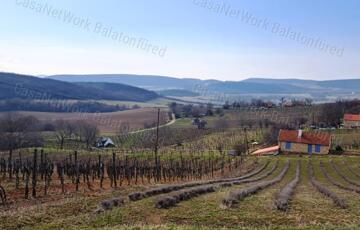 Eladó telek/földterület