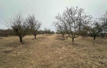 Eladó telek/földterület