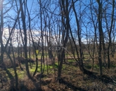 Eladó telek/földterület Gyömrő 13 900 000 Ft