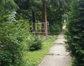 Eladó lakás Kismaros 33 000 000 Ft