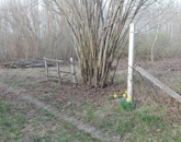 Eladó telek/földterület Ráckeve 5 600 000 Ft