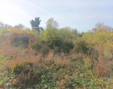 Eladó telek/földterület Zalabér 2 500 000 Ft