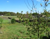 Eladó családi ház Inárcs 39 900 000 Ft