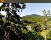 Eladó lakás Budapest II. ker 169 000 000 Ft