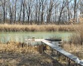 Eladó üdülő/nyaraló Balmazújváros 32 000 000 Ft