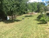 Eladó telek/földterület Baj 5 500 000 Ft