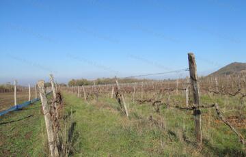 Eladó telek/földterület